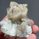 Fluorapatite with Topaz, Fluorite - image 2