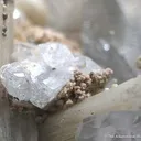 Fluorapatite With Topaz on Zinnwaldite and Quartz - image 3