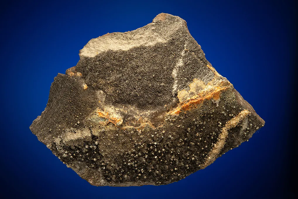 Fluorapatite with Tourmaline on Mica - image 2