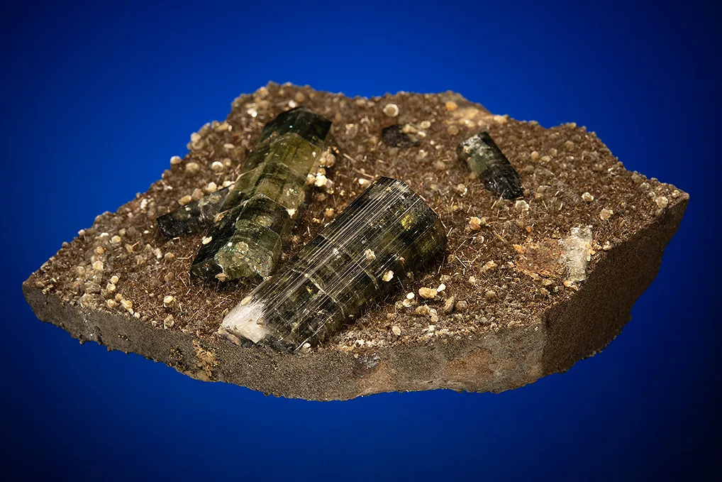 Fluorapatite with Tourmaline on Mica - image 3