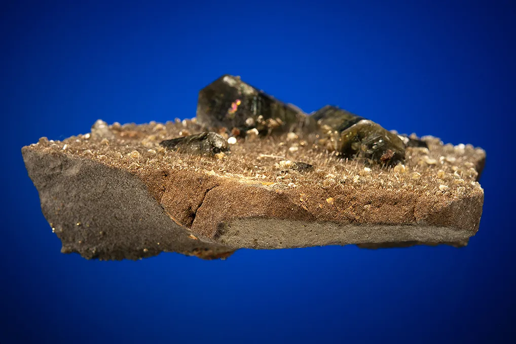 Fluorapatite with Tourmaline on Mica - image 4