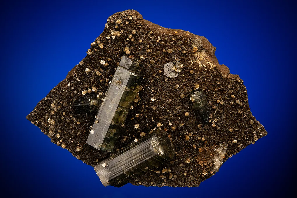 Fluorapatite with Tourmaline on Mica image