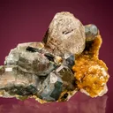 Fluorapatite with Tourmaline, Quartz and COOKEITE (repaired) - image 1