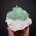 Fluorapophyllite and Stilbite (old classic style) - image 2