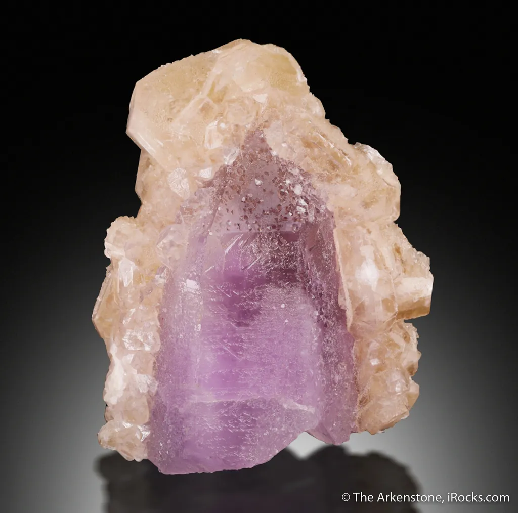 Fluorapophyllite-(K) on Quartz var. Amethyst image