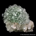 Fluorapophyllite-(K) on Stilbite - image 4