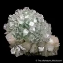 Fluorapophyllite-(K) on Stilbite - image 3