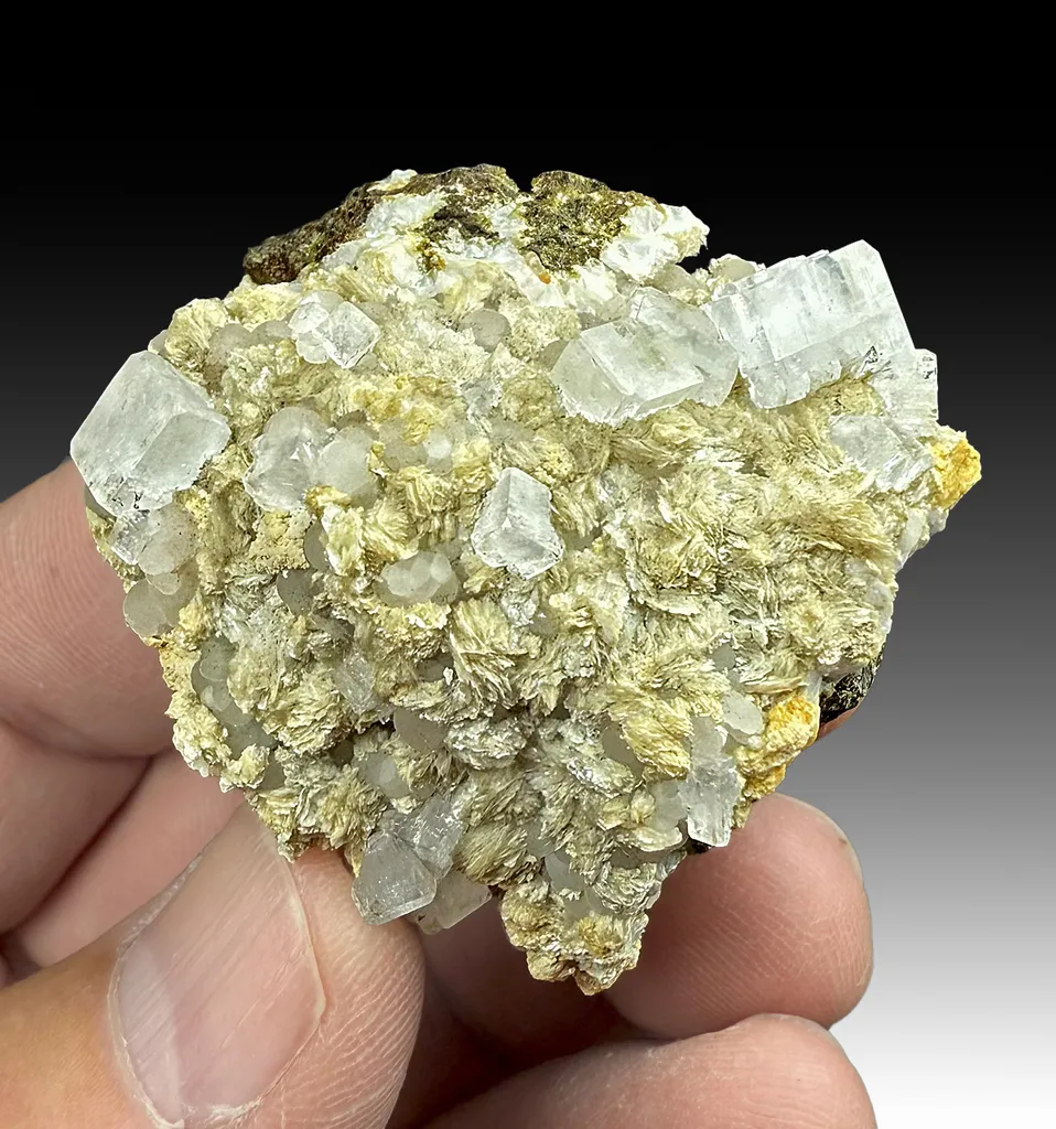 Fluorapophyllite-K with Cowlesite, Thomsonite image