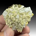 Fluorapophyllite-K with Cowlesite, Thomsonite - image 1