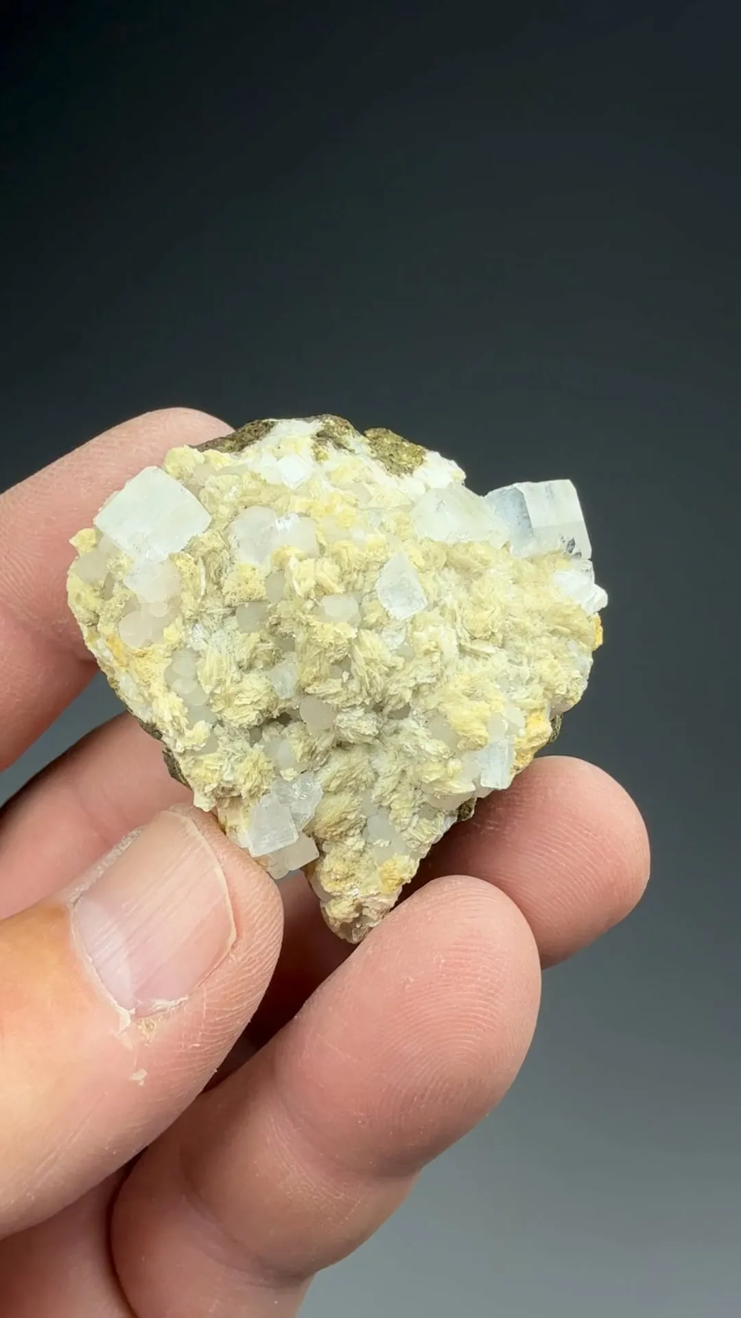 Fluorapophyllite-K with Cowlesite, Thomsonite - image 2