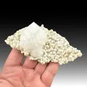 Fluorapophyllite-K with Gyrolite (362) - image 1