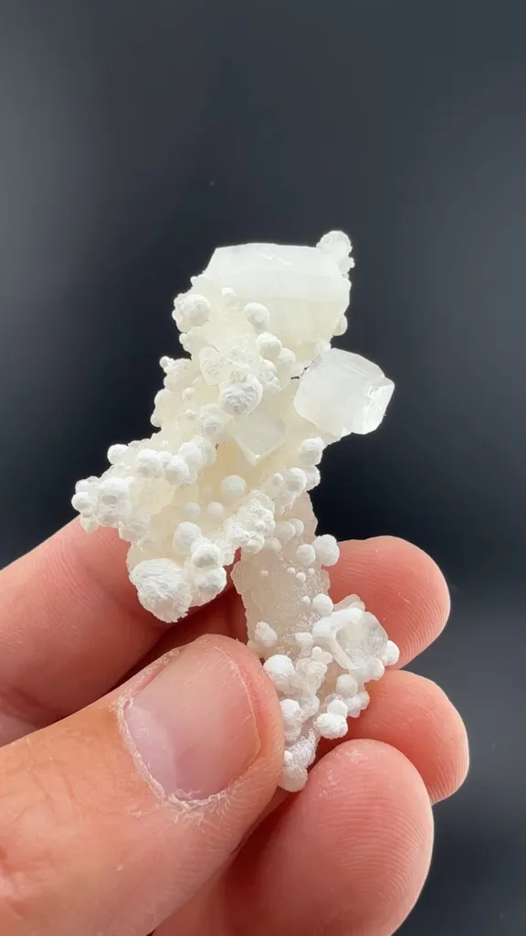Fluorapophyllite-K with Gyrolite, Prehnite image