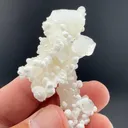Fluorapophyllite-K with Gyrolite, Prehnite - image 1
