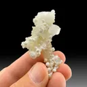 Fluorapophyllite-K with Gyrolite, Prehnite - image 1