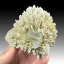 Fluorapophyllite-K with Mesolite - image 1