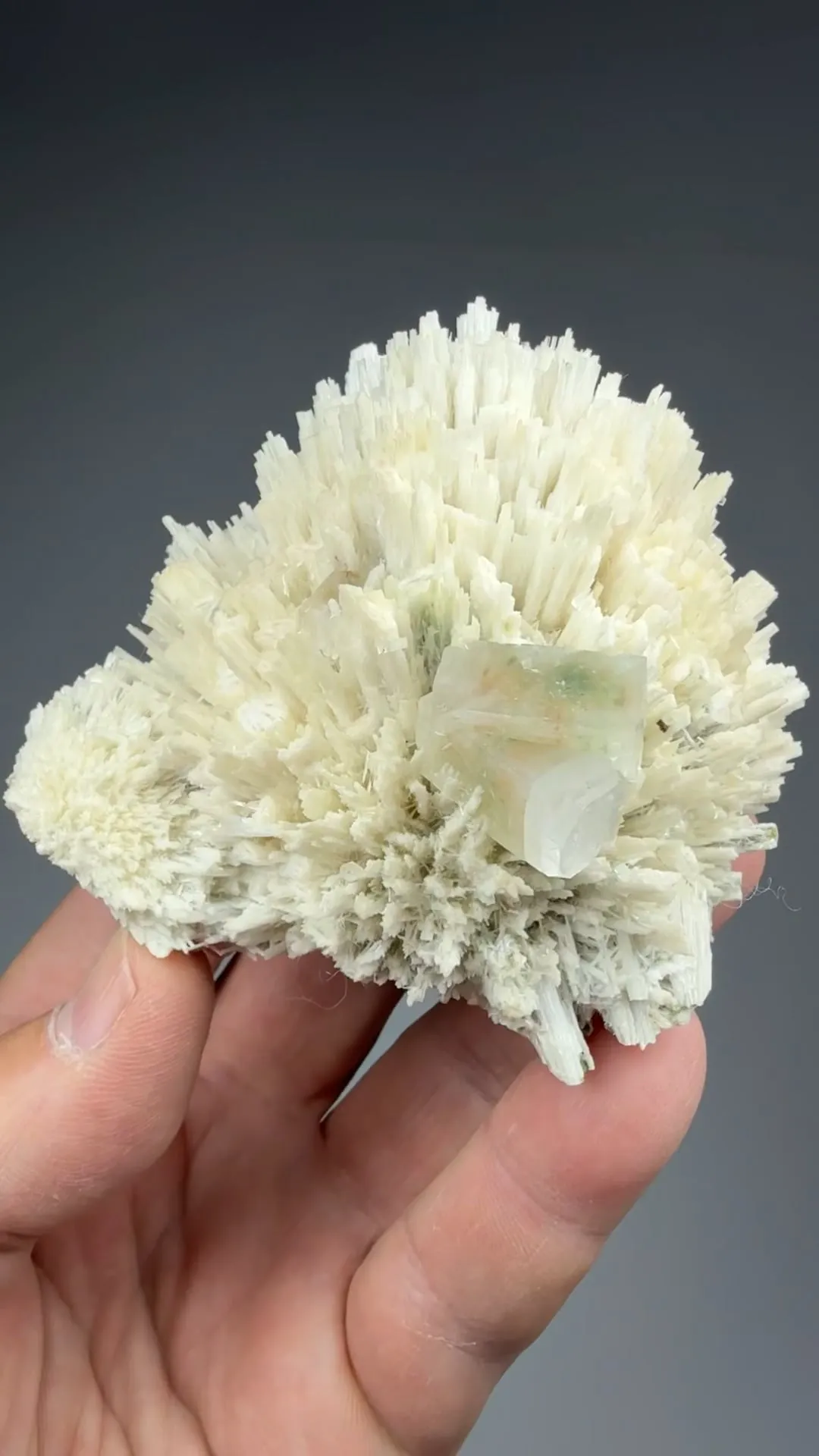 Fluorapophyllite-K with Mesolite - image 2