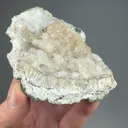 Fluorapophyllite-K with Pectolite - image 2