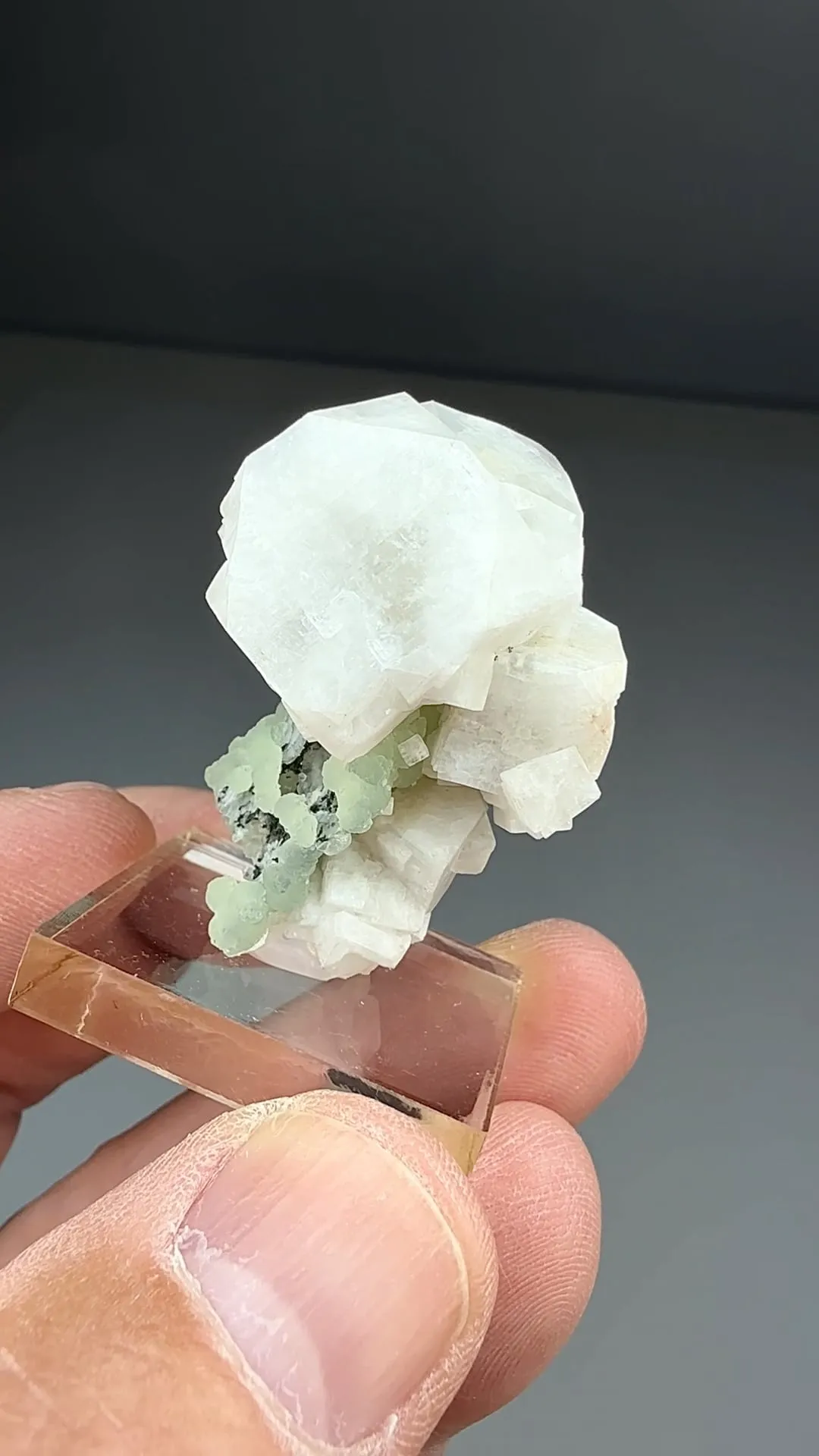 Fluorapophyllite-K with Prehnite (809) - image 2
