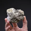 FLUORAPOPHYLLITE-(K) with Pyrite Laumontite on Calcite - image 2