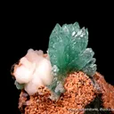 Fluorapophyllite-(K) with Stilbite - image 3