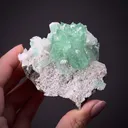 Fluorapophyllite-(K) with Stilbite (1980s) - image 1