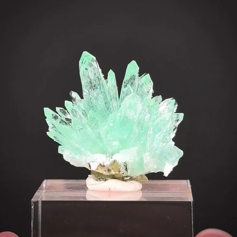 Fluorapophyllite-(K) with Stilbite image
