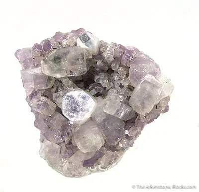 Fluorapophyllite on Amethyst image