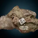 FLUORAPOPHYLLITE on Calcite - image 5