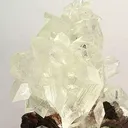 Fluorapophyllite on "Chocolate" Heulandite - image 2