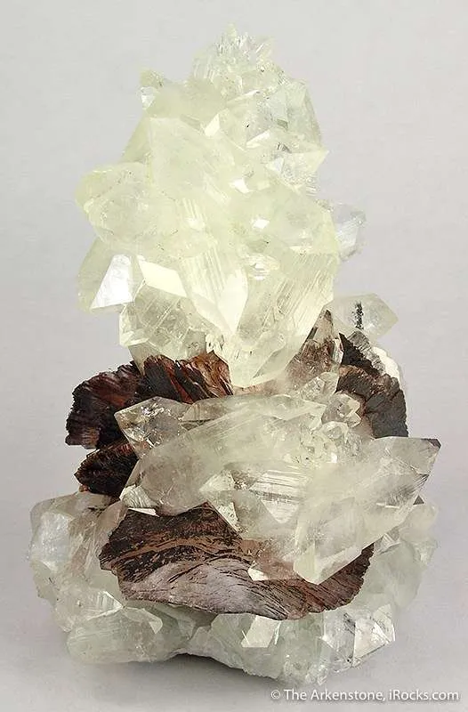 Fluorapophyllite on "Chocolate" Heulandite image