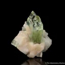 Fluorapophyllite on Stilbite - image 3