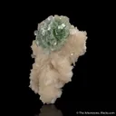 Fluorapophyllite on Stilbite - image 5