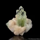Fluorapophyllite on Stilbite - image 1