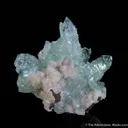 Fluorapophyllite on Stilbite - image 4