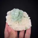 Fluorapophyllite on Stilbite - image 1