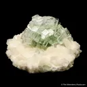 Fluorapophyllite on Stilbite - image 4