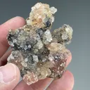 Fluorapophyllite with Inesite, Hubeite, Quartz - image 2
