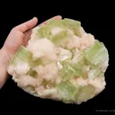 Fluorapophyllite With Stilbite - image 1