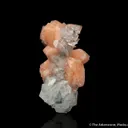 Fluorapophyllite with Stilbite - image 6