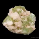 Fluorapophyllite With Stilbite - image 3