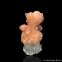 Fluorapophyllite with Stilbite - image 1