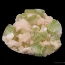 Fluorapophyllite With Stilbite - image 4