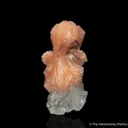 Fluorapophyllite with Stilbite - image 5