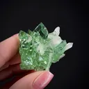 Fluorapophyllite with Stilbite - image 2