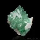Fluorapophyllite with Stilbite (old style) - image 3