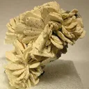 Fluorellestadite Ps. Hemimorphite (Wilkeite) - image 3