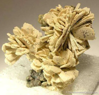 Fluorellestadite Ps. Hemimorphite (Wilkeite) image