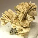 Fluorellestadite Ps. Hemimorphite (Wilkeite) - image 1