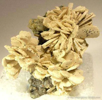 Fluorellestadite Ps. Hemimorphite (Wilkeite) - image 4