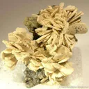 Fluorellestadite Ps. Hemimorphite (Wilkeite) - image 4